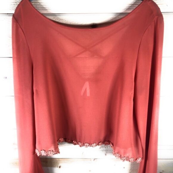 Kaitlyn Sheer Terra Cotta Blouse - Picture 2 of 9